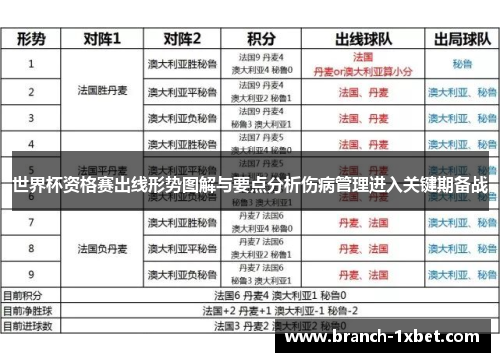 世界杯资格赛出线形势图解与要点分析伤病管理进入关键期备战